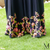 Arabic Lawn Palazzo
